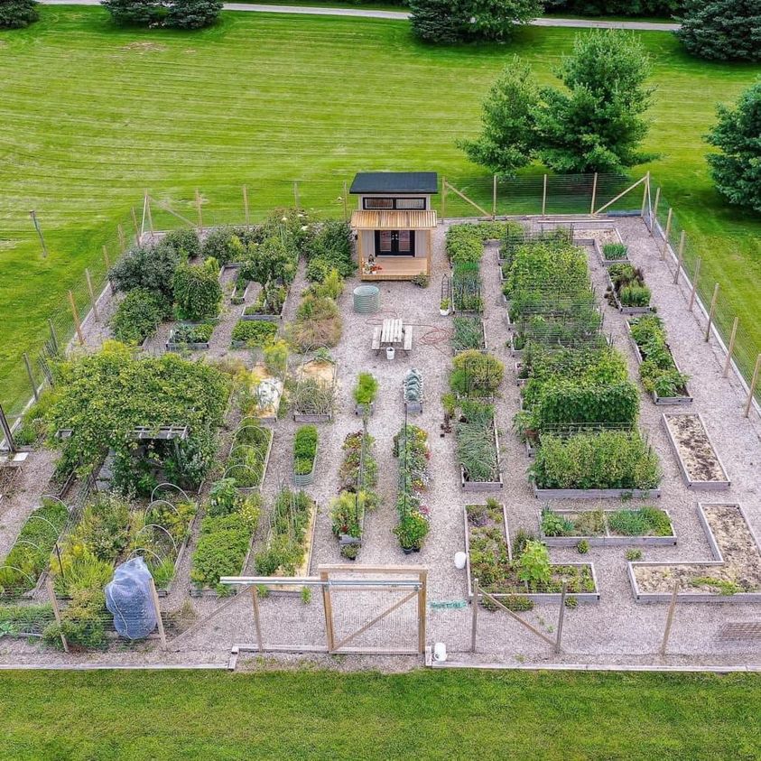 The Importance of Using Food-Safe Hoses, Pots, and Tools in Fruit and Vegetable Gardening